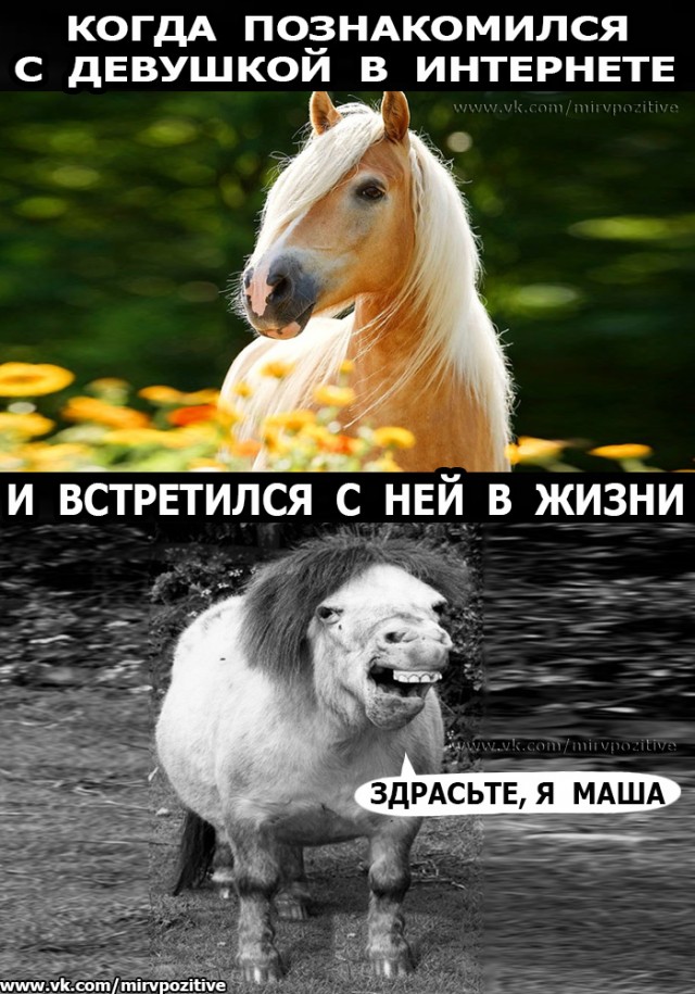 Просто 33 картинки