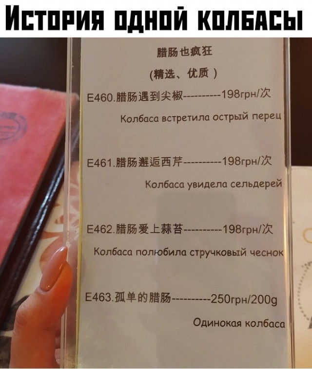 Делаем уроки, бутерброды, охотничью собаку и присоединяем Австрию к России