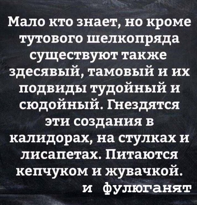 Веселье закончилось