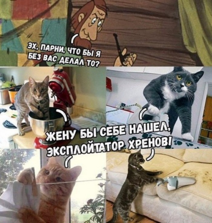 Колючие Муди