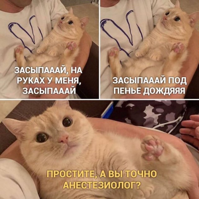 Немного картинок для настроения 05.02.20