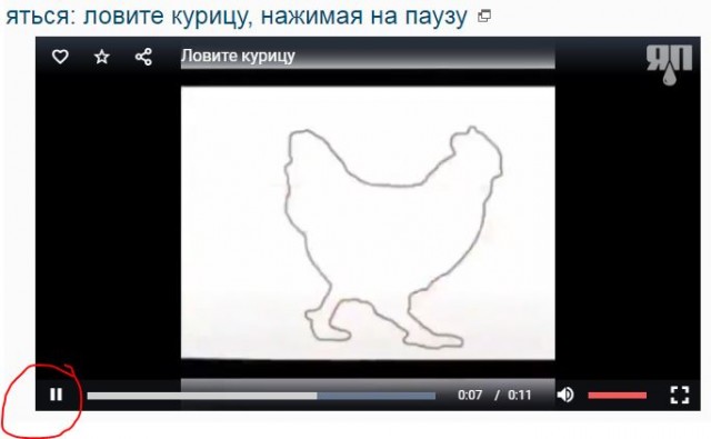 Кому нечем заняться: ловите курицу, нажимая на паузу