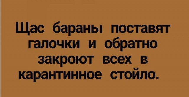 О голосовании 1 июля