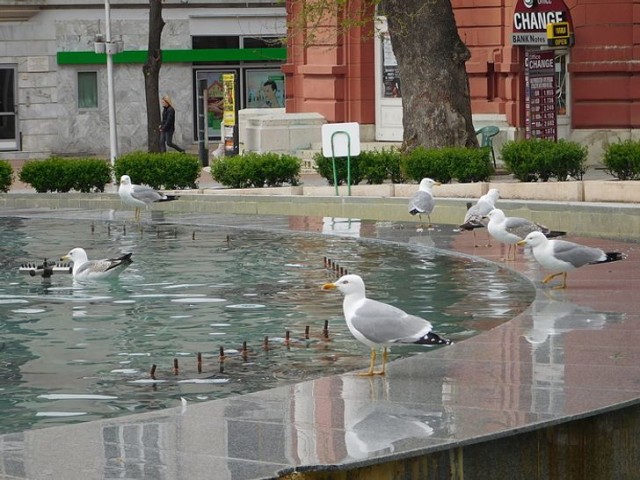 Особенности быта, которые туристы не понимают, а болгары принимают за норму жизни