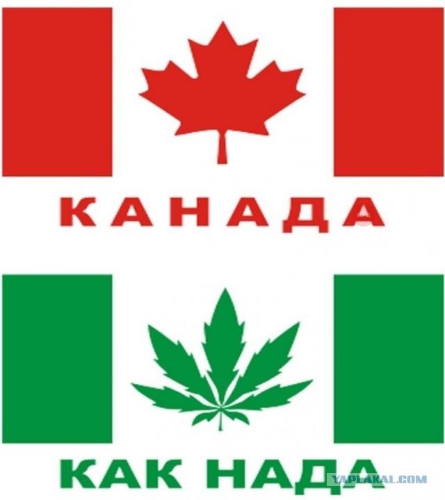Железная женская логика