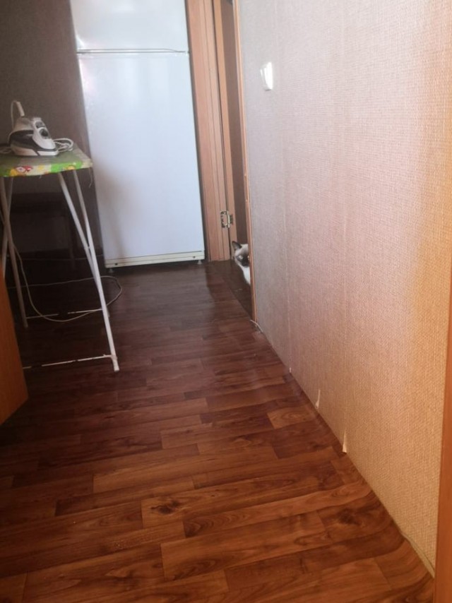 Фотографии, которые доказывают, что кошки самые большие сволочи