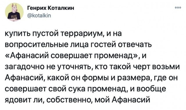 Картинки и мемы для настроения 025