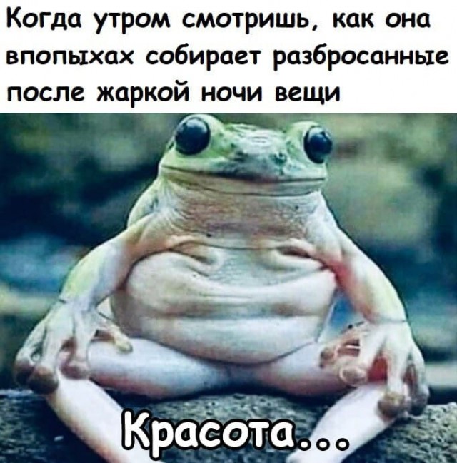 Фу, пошлятина одна