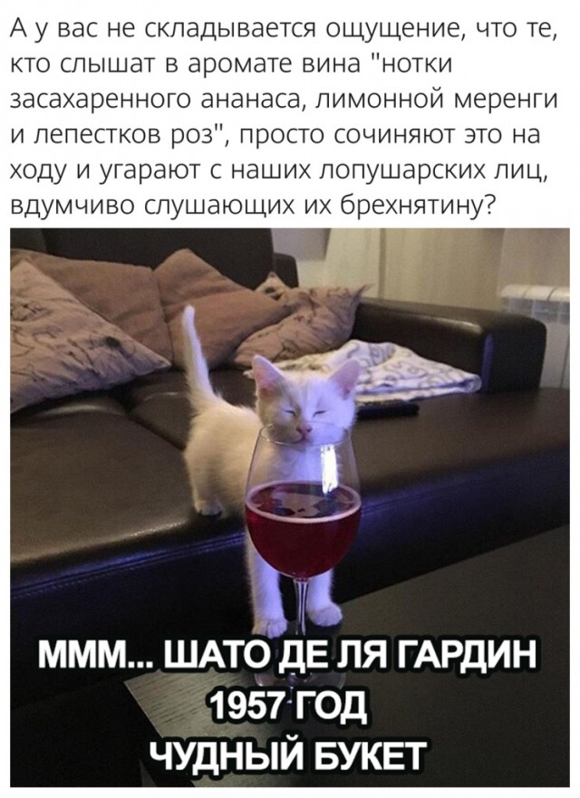 Картинки и мемы для настроения 02.02.2021