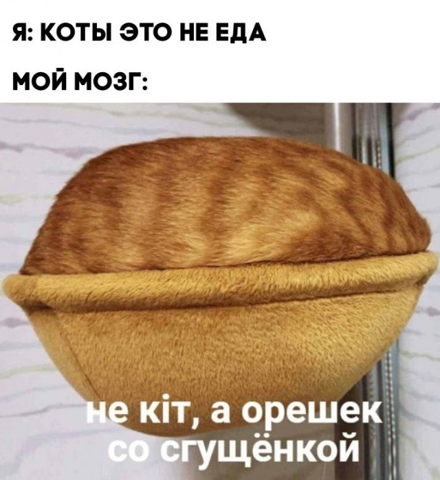 Картинки разные