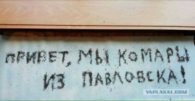 Китайские методы борьбы с комарами