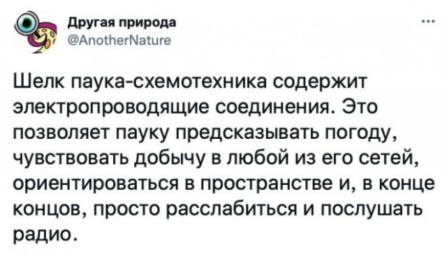 Картинки и мемы, всем прекрасных выходных