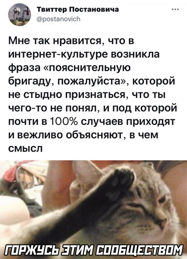 Картинки и мемы для настроения 03.11.2021