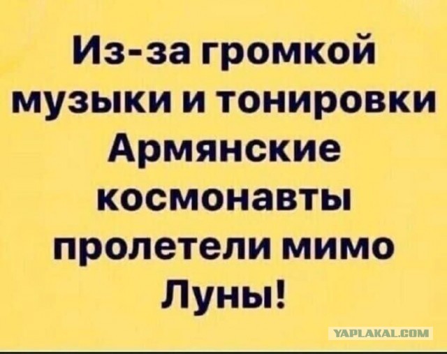 Весёлый полтишок 11.11