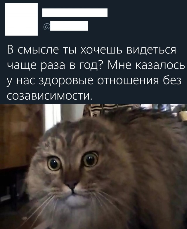 Баяны бабыЯны