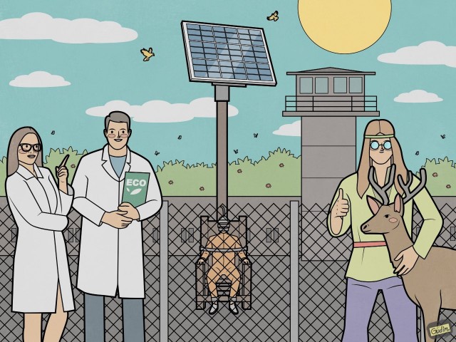 Дурацкие картинки