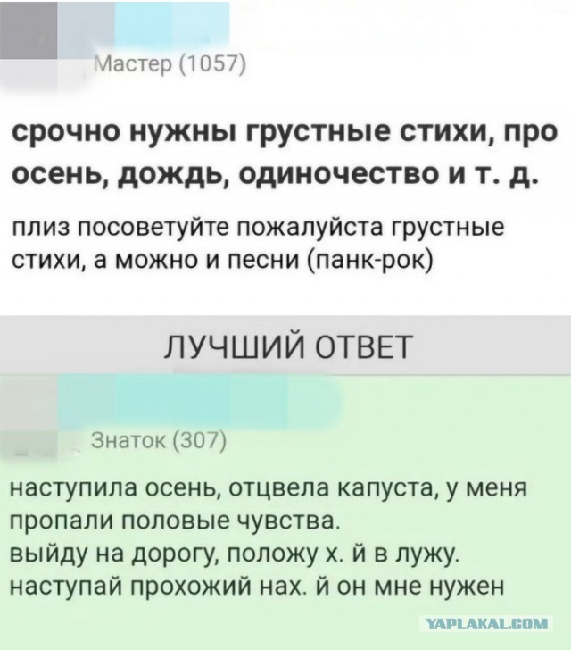 Картинки с комментариями