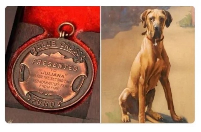 Очень странные дела в очень неожиданных фотографиях