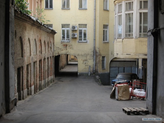 Кинопрогулка с "Братом"