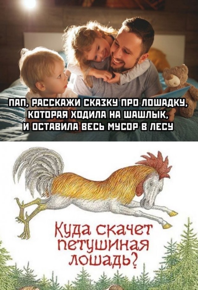 Cвиньи вокруг