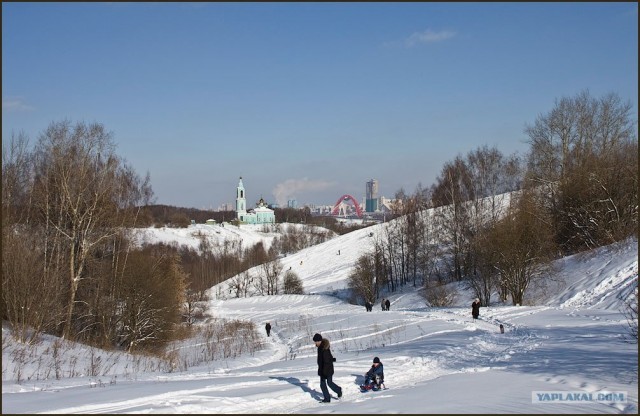 Бульвар в Москве vs бульвар в Копенгагене
