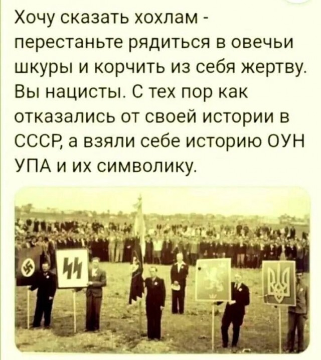 Более 800 украинских солдат сдались в плен под Лисичанском