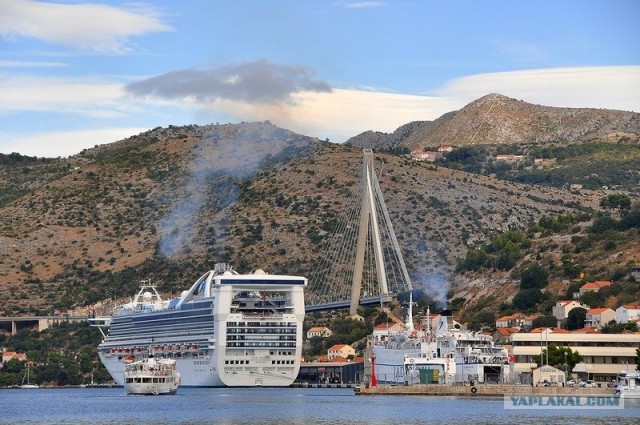 Любовь с первого взгляда