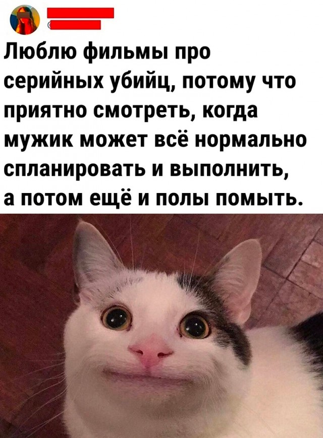 Так себе картинки 10.10.22