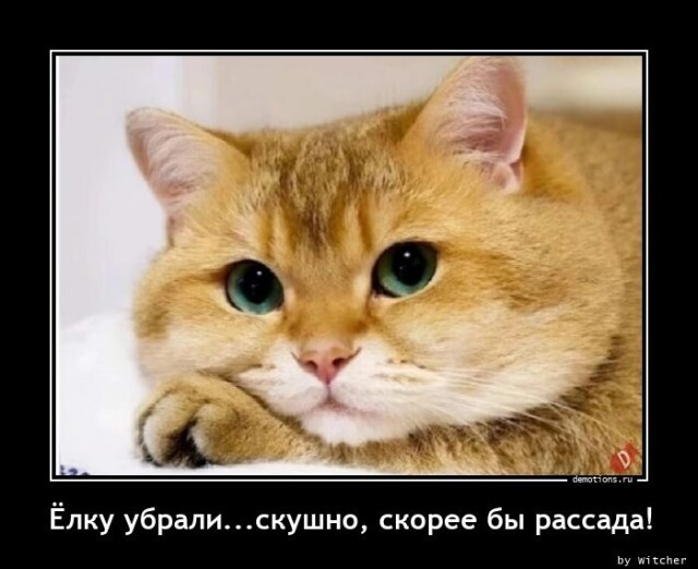 Картинки с надписями 28.01.23