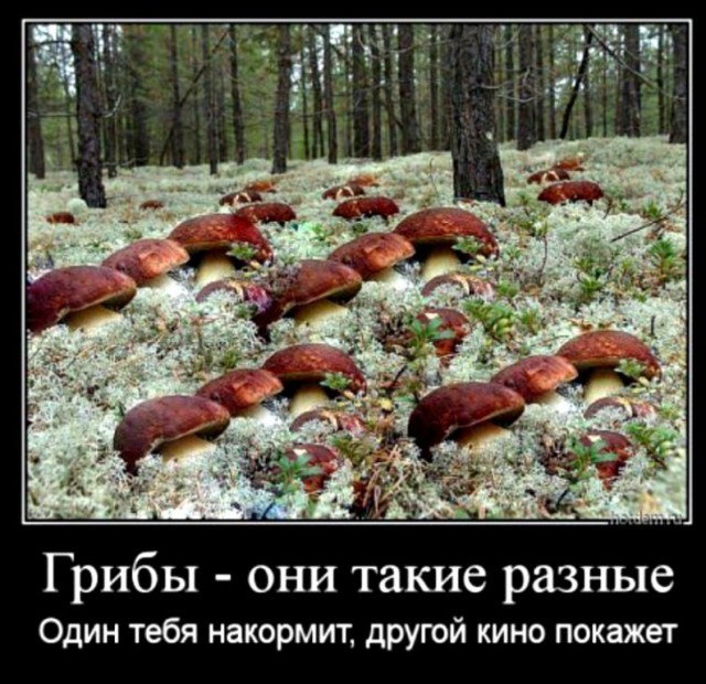 Прикольные и просто красивые картинки 03.02.2023