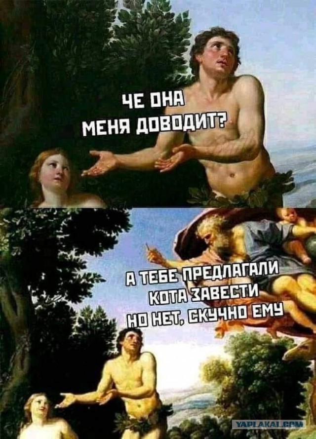 Очередная сборка картинок! Кому баян, кому гармонь, а кому в новинку!