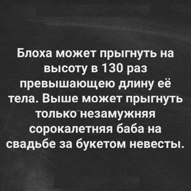 Немного картинок для настроения 07.03.2023