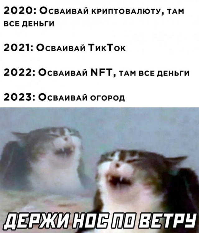 Немного картинок для настроения - 155