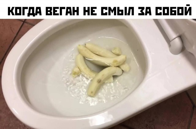 Так себе картинки 20.04.23