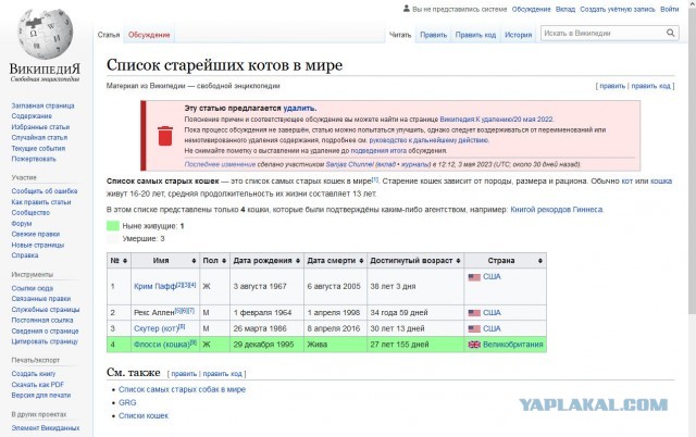 Это кошка считается самой старой в Британии. И вчера ей исполнилось 32 года