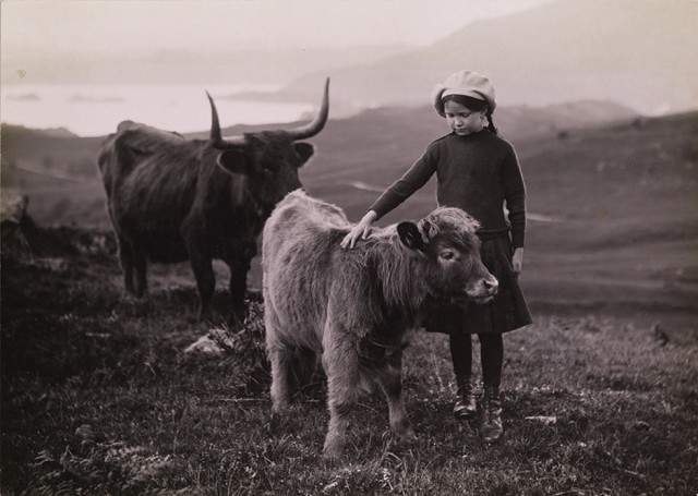 Фотоархив National Geographic: восторг и трепет в фотографиях со всего мира