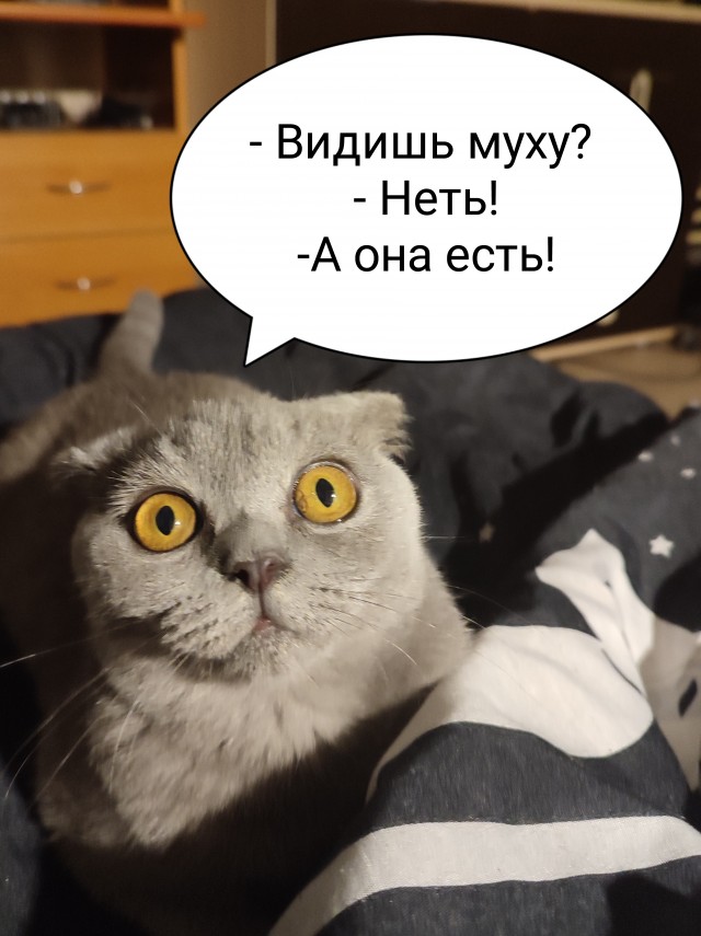10 последних фото с Вашего телефона