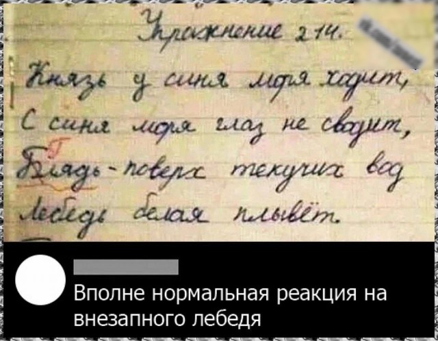 Вот бы все записи в дневниках были такими полезными