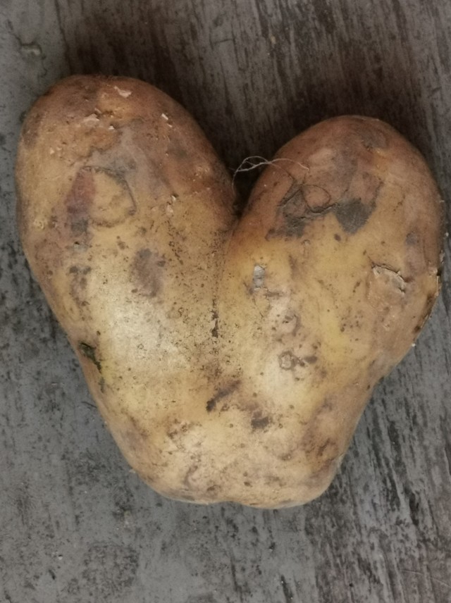 Картошка с любовью...