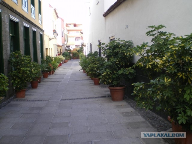 Хочу дачу на канарах!