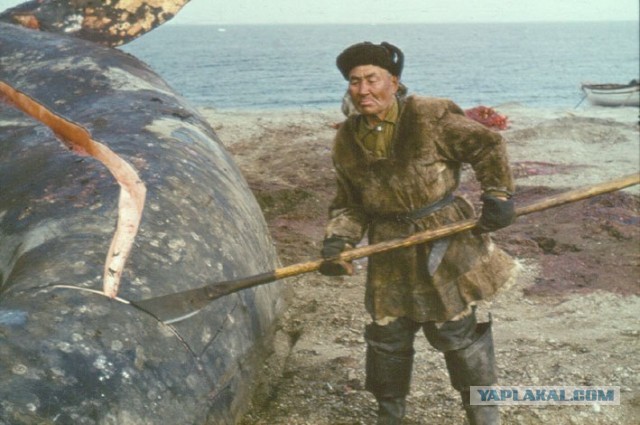 Складной нож туристический