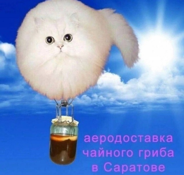 Всего понемногу. От 21.01.24
