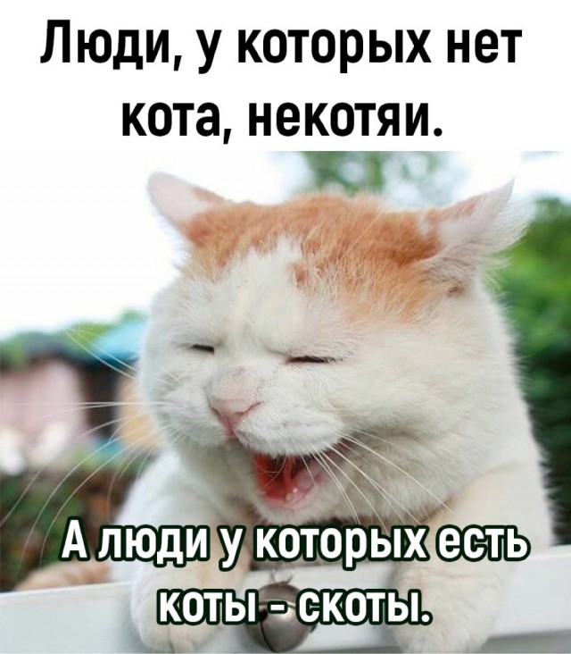 Весёлый полтишок 23.01.24