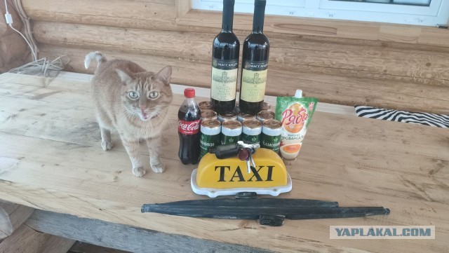 С днем таксиста, мать его!