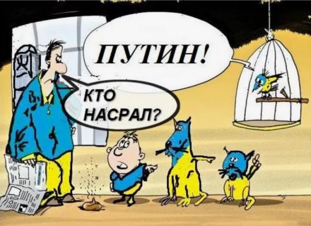 Затопило **ном