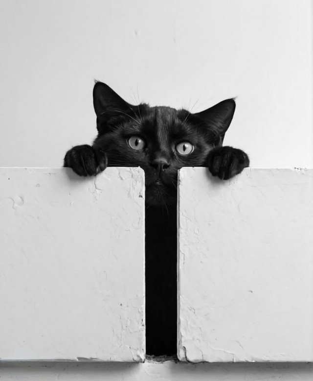 Фотографии разные