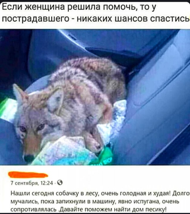 Плюс верный друг, минус бочок