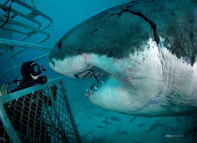 Калейдоскоп картинок 21.07.24