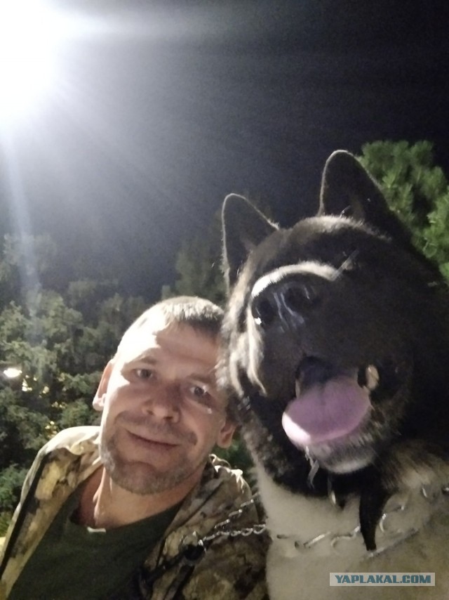 Безумие камуфляжа⁠