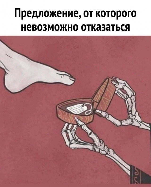 Нуштош 12.09.2024